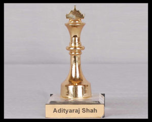 Adityaraj-Shah