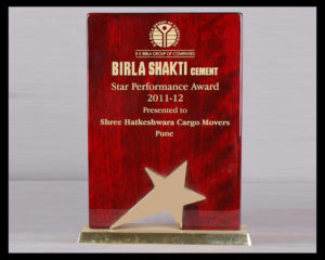 Star Performance Award 2011-12